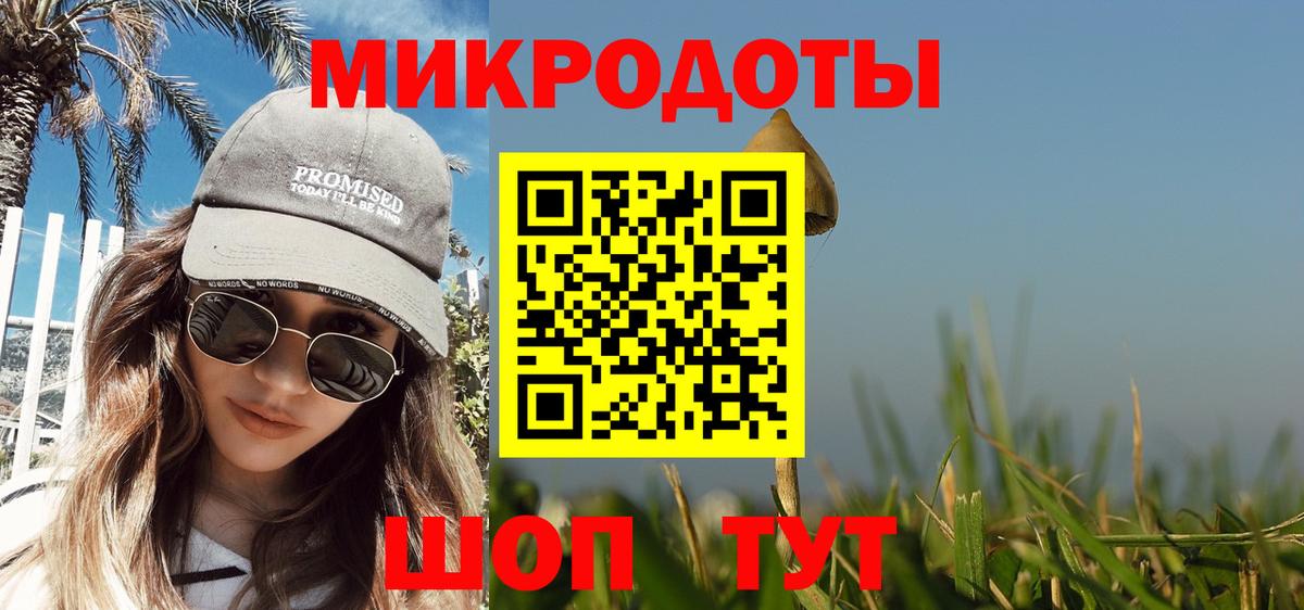 Галлюциногенные грибы Psilocybine cubensis  Вход с VPN  Заринск 